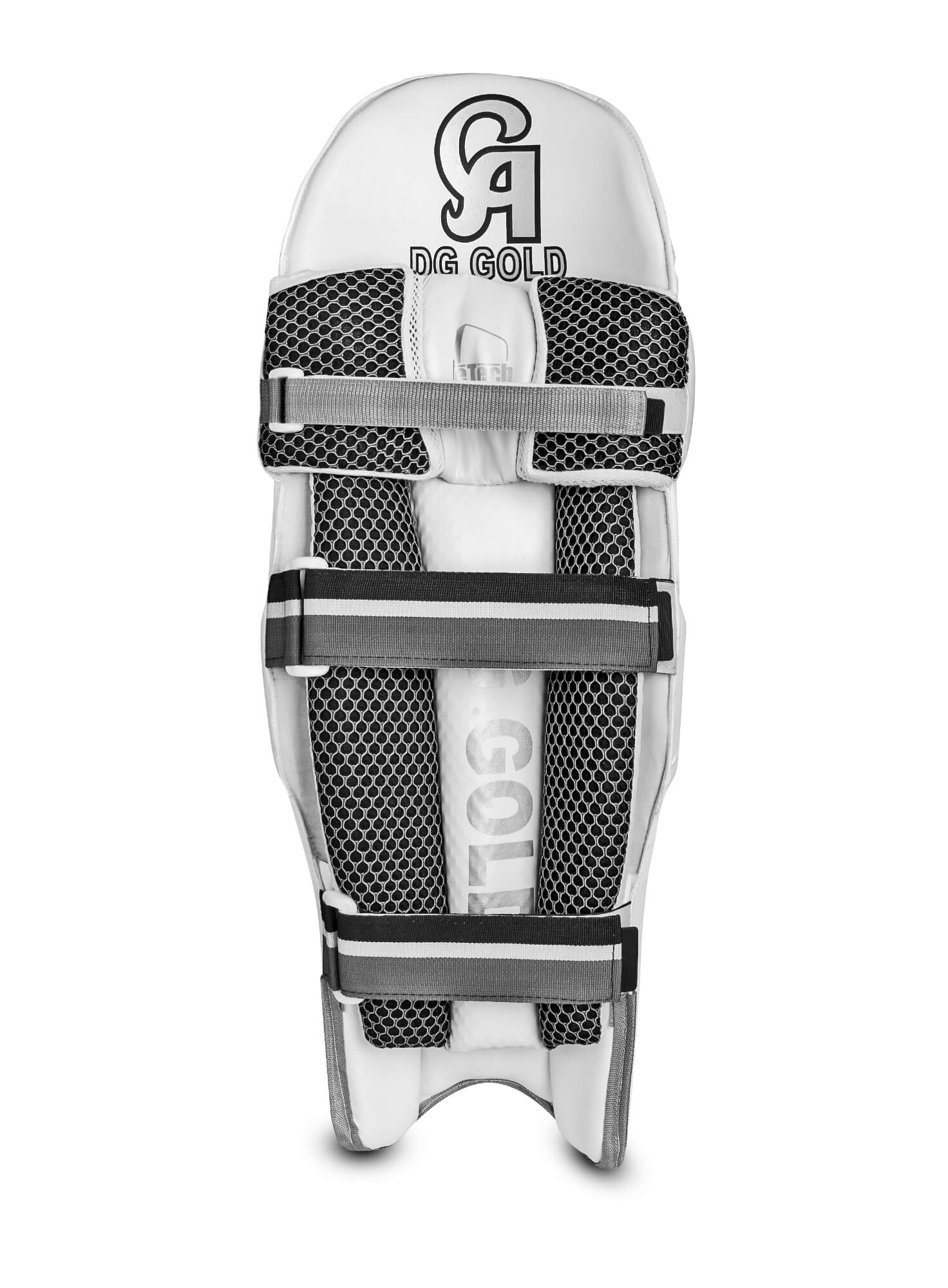 Buy CA Gold Dragon Leg Pads for Cricket - CA International