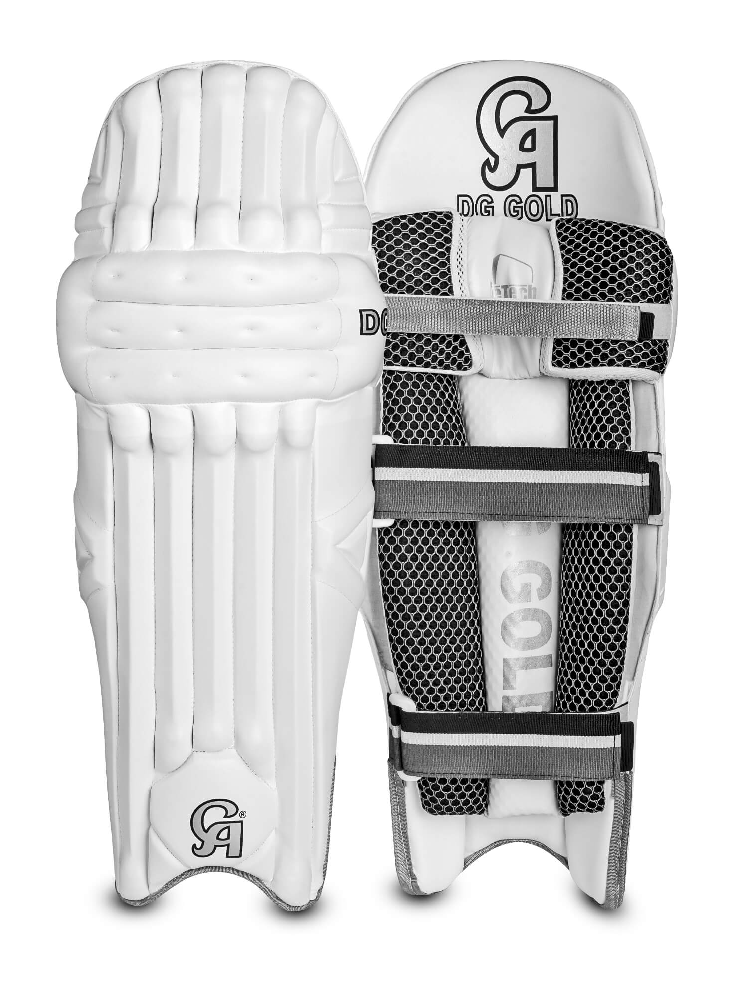 Buy CA Gold Dragon Leg Pads for Cricket - CA International
