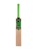 CA 1000 Cricket Bat - Best Starter Bat for New Players | CA Pro