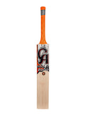 CA Gold 2000 English Willow Bat – Ideal for Beginners
