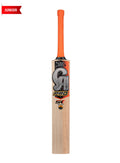 Pro 5K Junior English Willow Cricket Bat | CA Pro