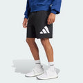 Essentials Big Logo Single Jersey Shorts IS6909