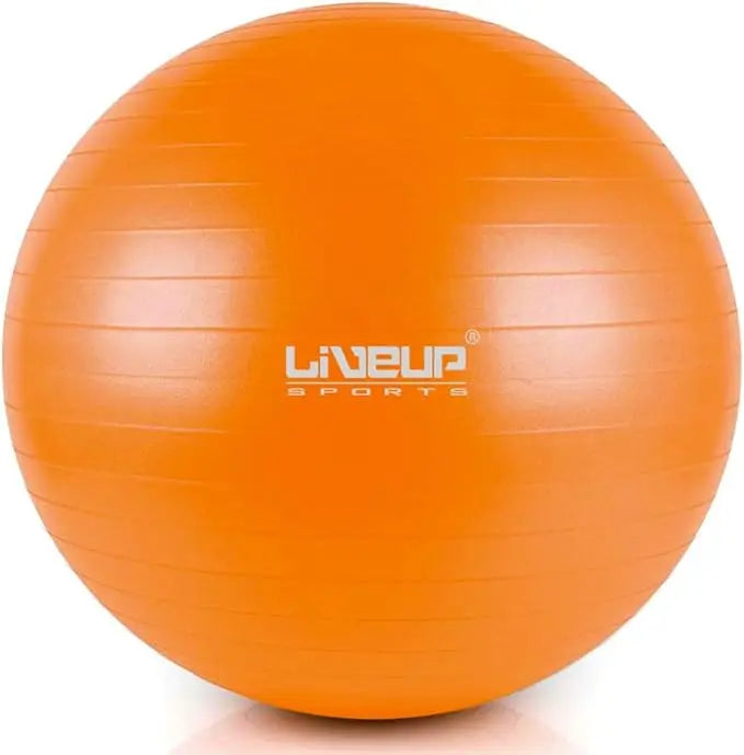 Liveup anti burst gym ball 65 cm - LS3222-65